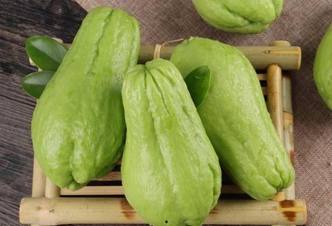 佛手瓜吃嫩苗,绿色健康的新食尚 第2张 佛手瓜吃嫩苗,绿色健康的新食尚 第2张